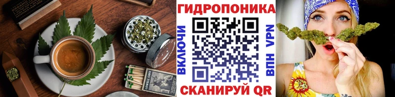 Canna-Cookies конопля  Купить где  Ленинск-Кузнецкий 