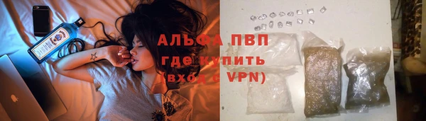 PSILOCYBIN Бронницы