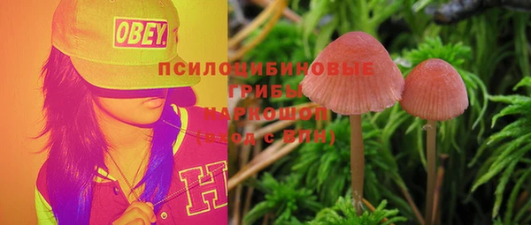 тгк Бугульма