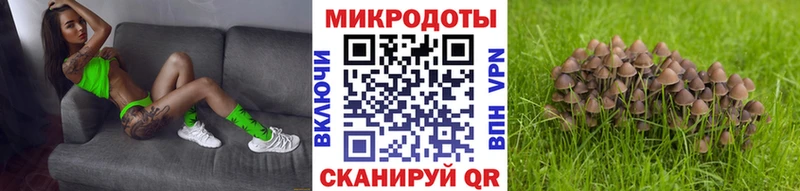 Псилоцибиновые грибы GOLDEN TEACHER Ленинск-Кузнецкий