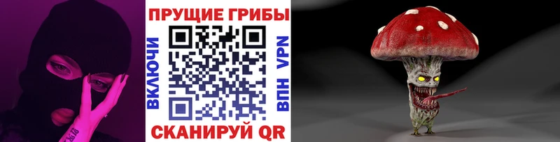 Галлюциногенные грибы GOLDEN TEACHER  Купить  Ленинск-Кузнецкий 